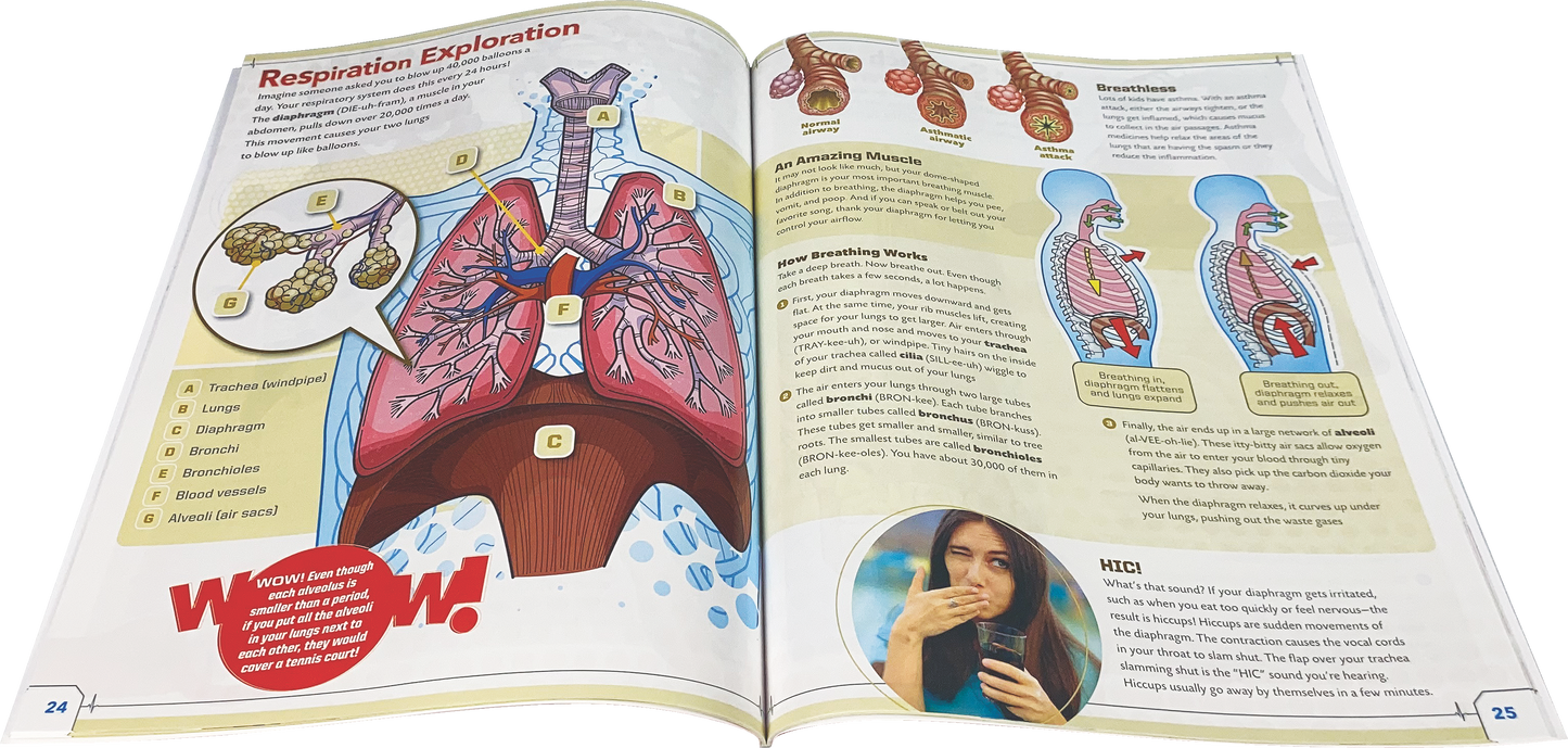 Ultimate Squishy Human Body Lab