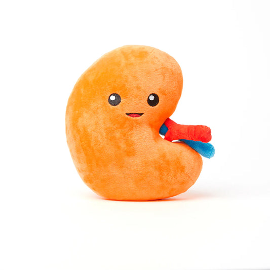 Kidney Plushie