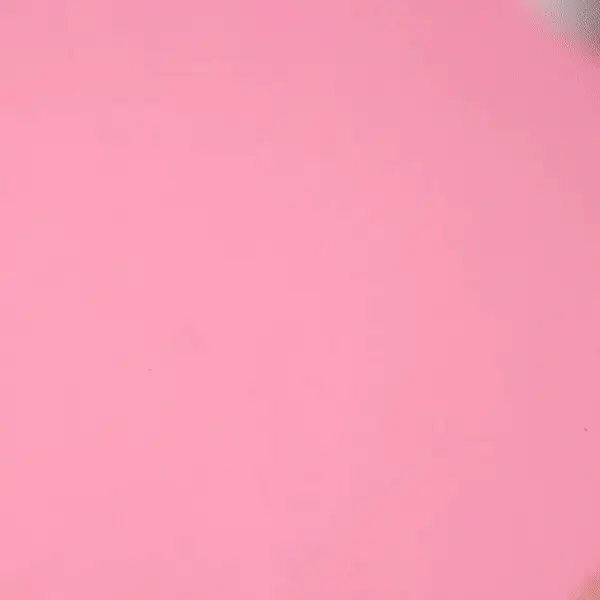 Uterus Plushie