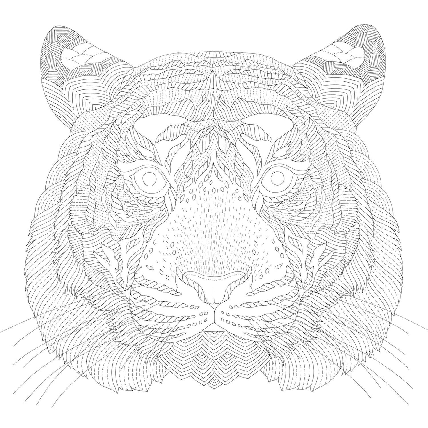 Millie Marotta's Animal Adventures Coloring Book