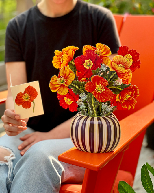 French Poppies