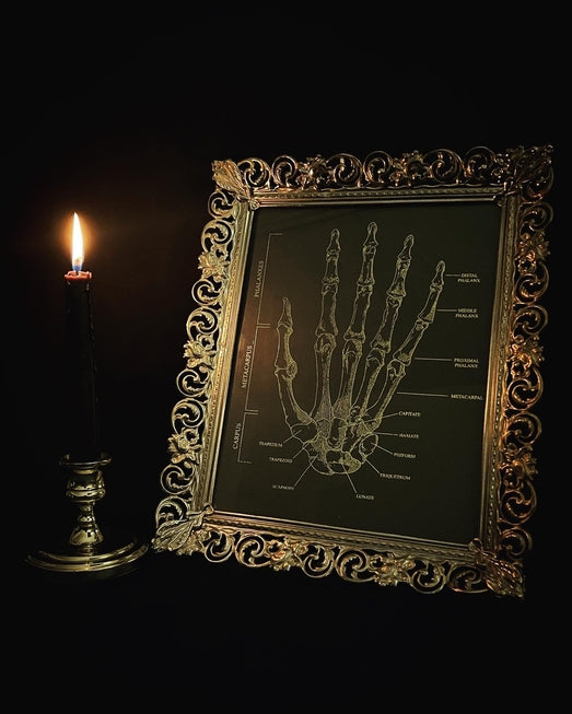 Anatomy prints