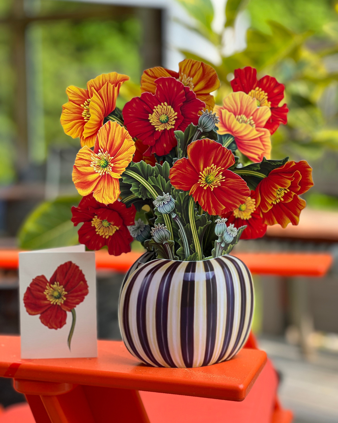 French Poppies