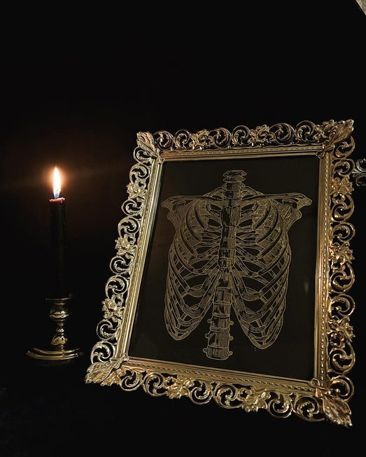 Anatomy prints