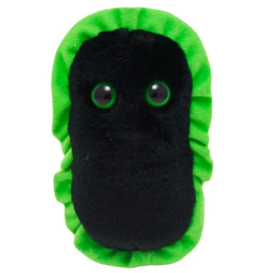 Gangrene (Clostridium Perfringens)