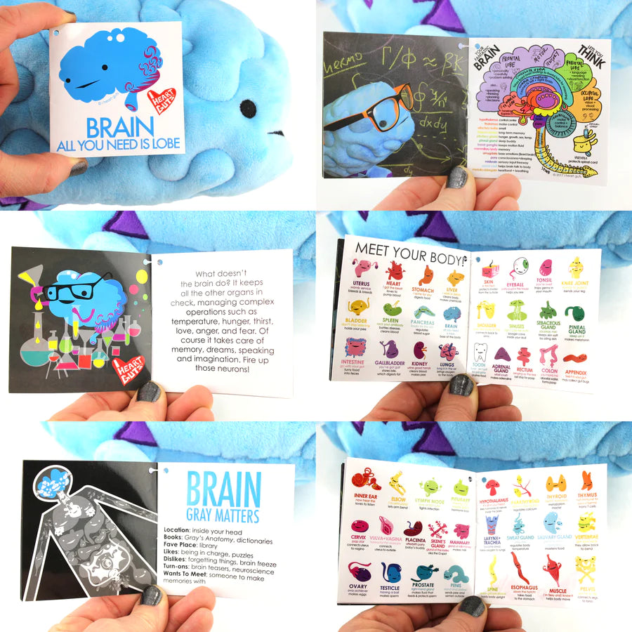 Brain Plush - All You Need Is Lobe - Plush Organ Stuffed Toy Pillow