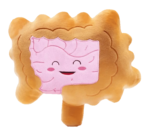 Intestines Plushie