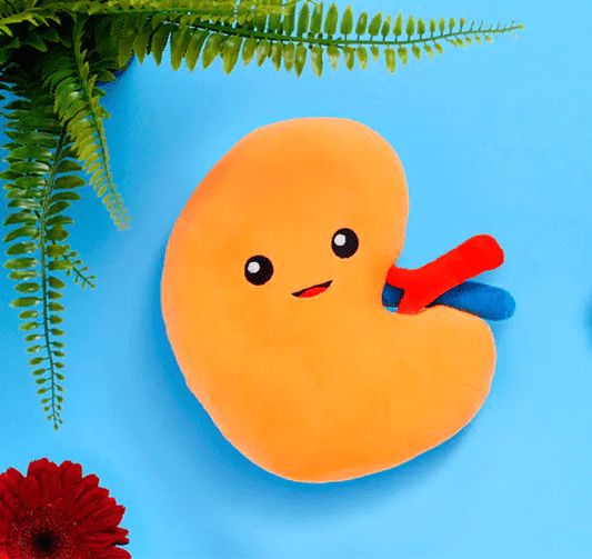 Kidney Plushie