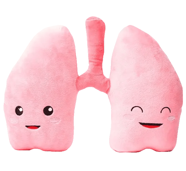 Lungs Plushie