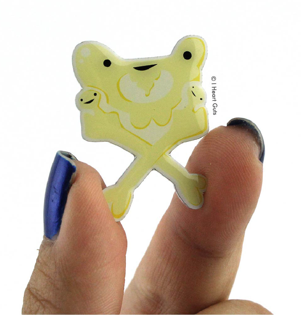 Pelvis Lapel Pin - You're So Hip