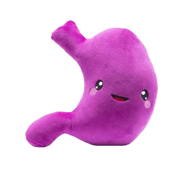 Stomach Plushie