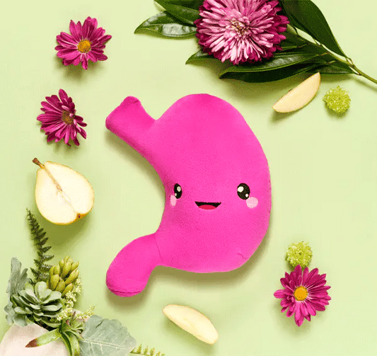 Stomach Plushie