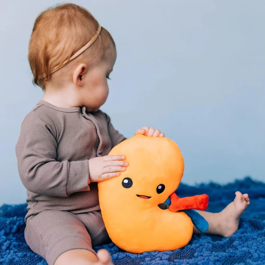 Kidney Plushie