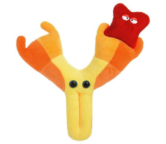 Antibody (Immunoglobulin)