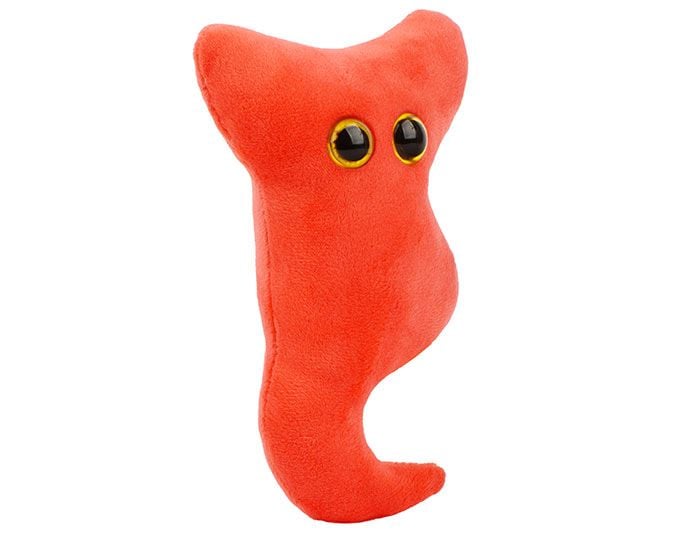Appendix
