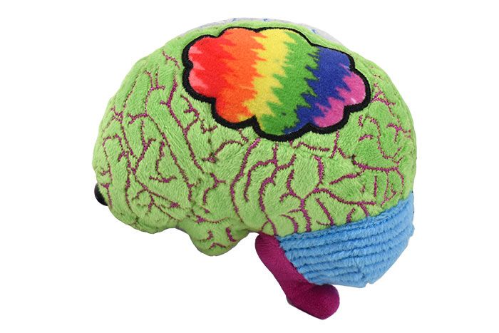 Bipolar Brain