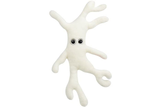 Bone Cell (Osteocyte)