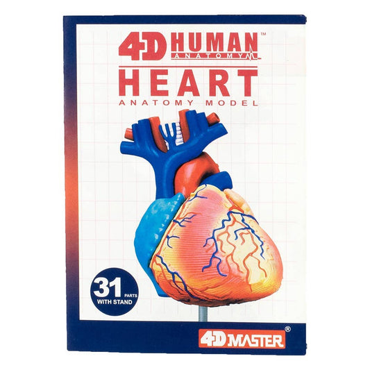 Heart