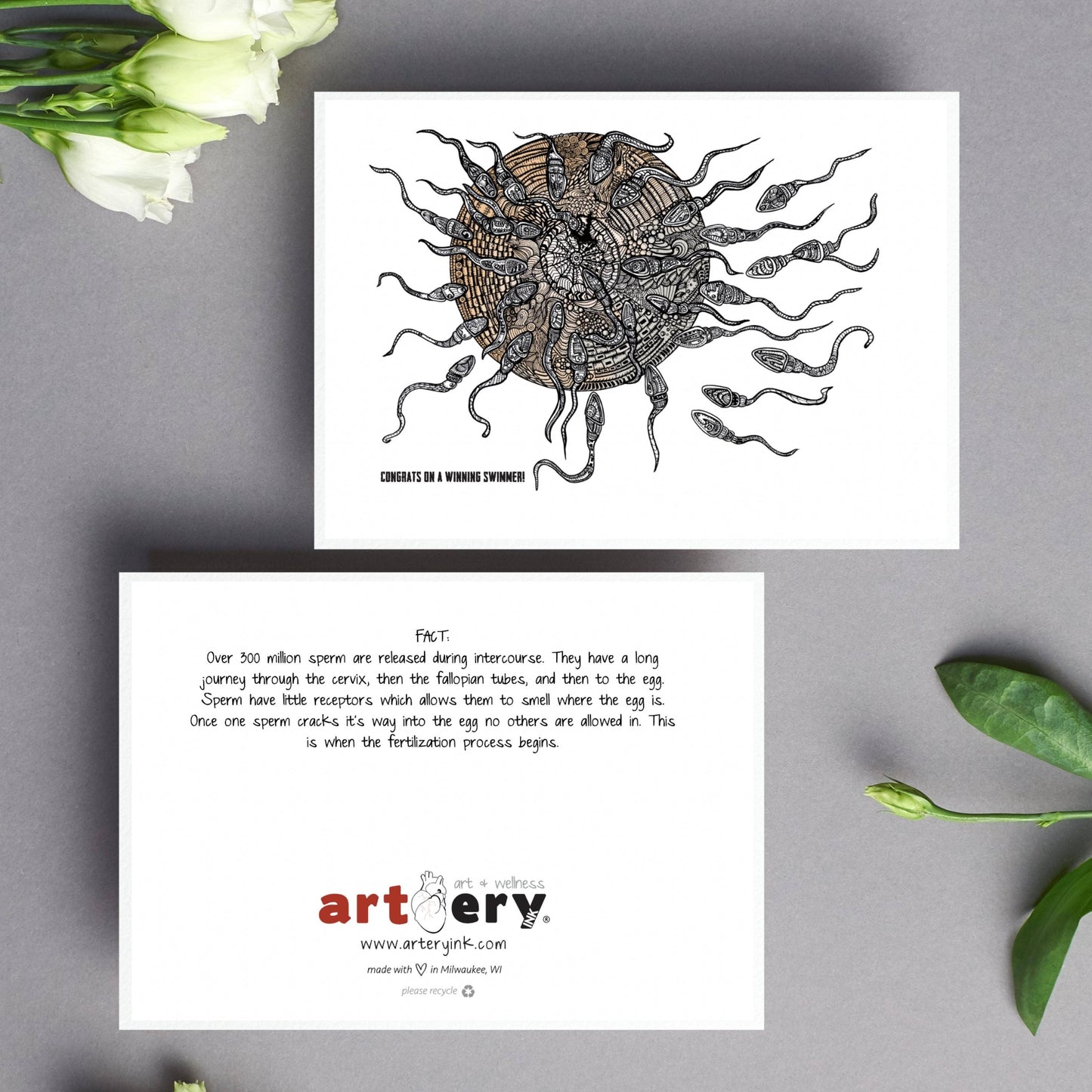 Sperm & Egg - Baby (#6004)