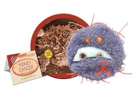 Kidney Cancer