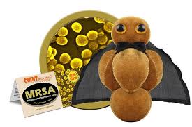 MRSA (Methicillin-Resistant Staphylococcus Aureus)