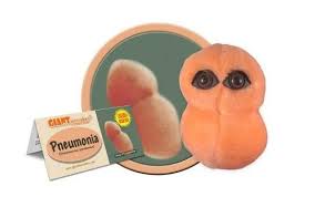 Pneumonia (Streptococcus Pneumonia)