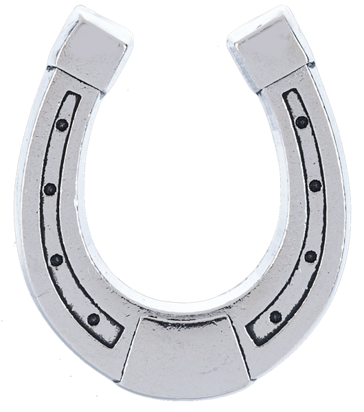 The Lucky Little Horseshoe Charms in a Basket