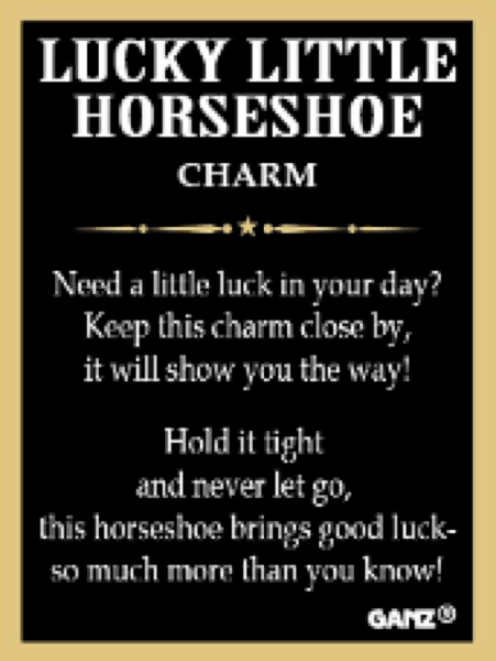 The Lucky Little Horseshoe Charms in a Basket