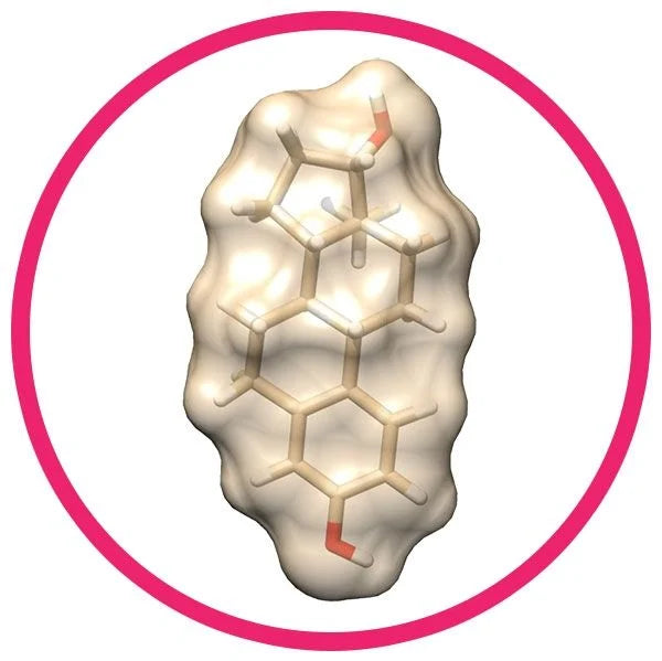 Estrogen