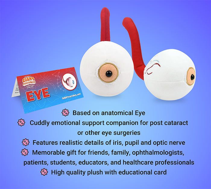 Eye