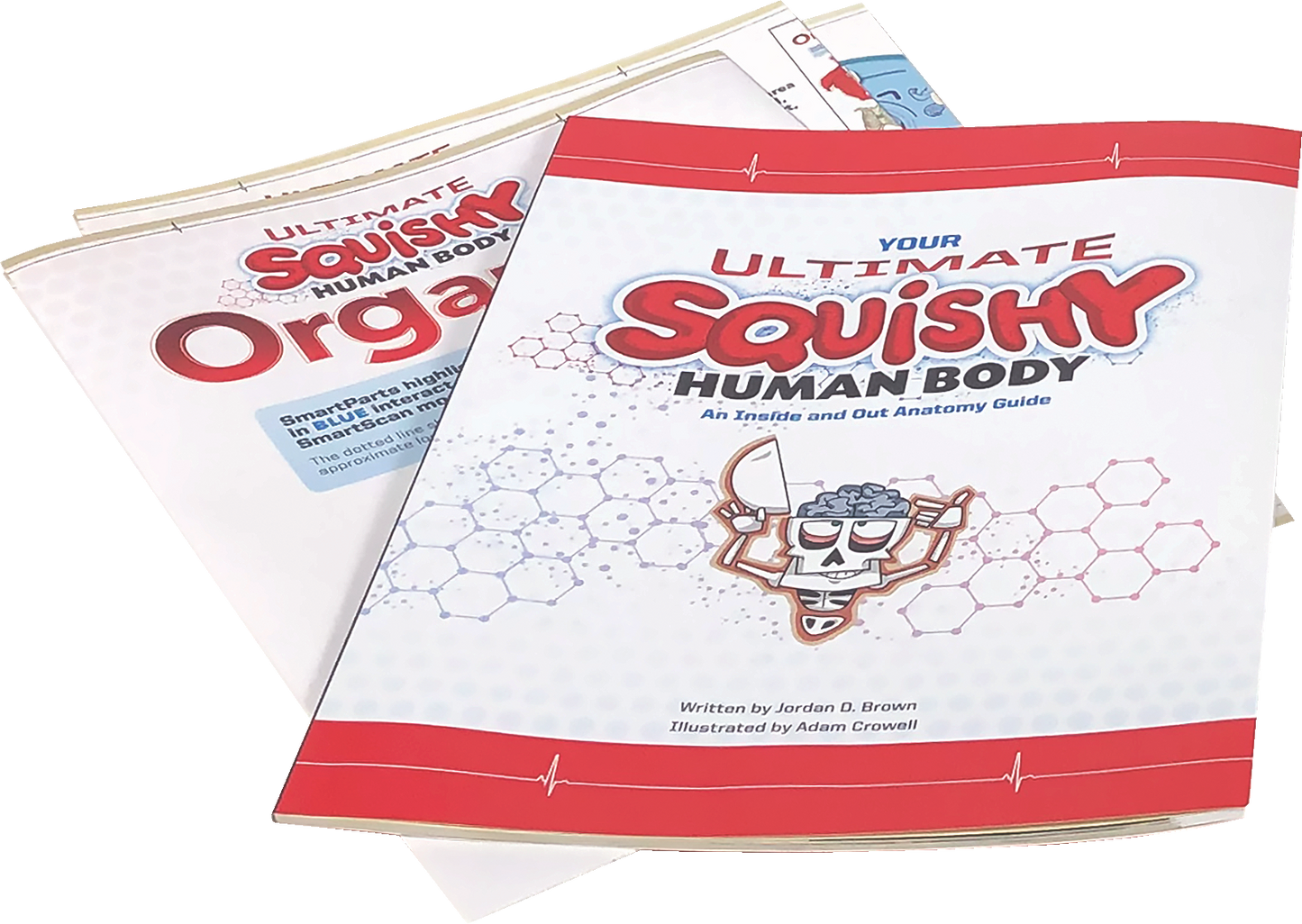 Ultimate Squishy Human Body Lab