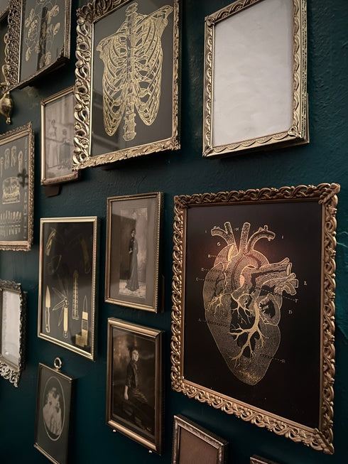 Anatomy prints