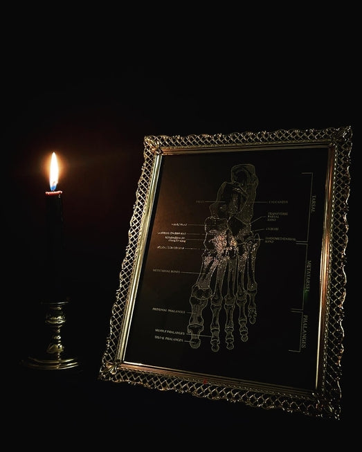Anatomy prints