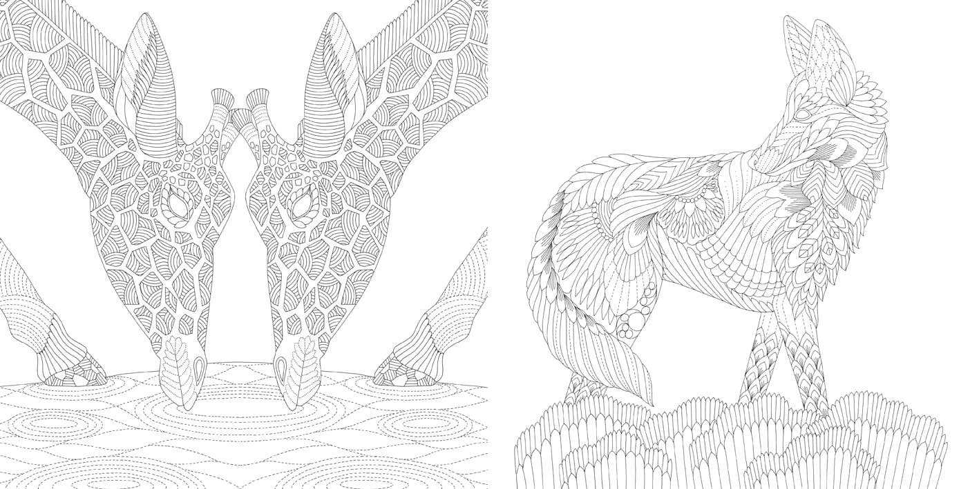 Millie Marotta's Brilliant Beasts Coloring Book
