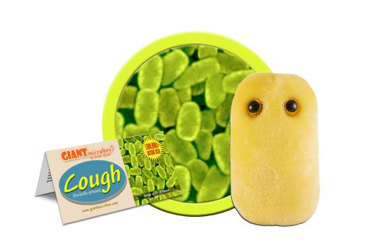 Cough (Bordetella pertussis)