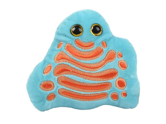 Golgi Apparatus
