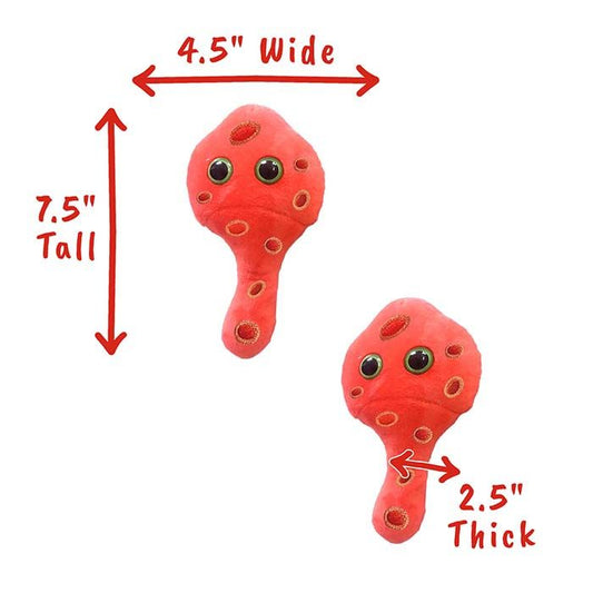 Mycoplasma (Mycoplasma genitalium)