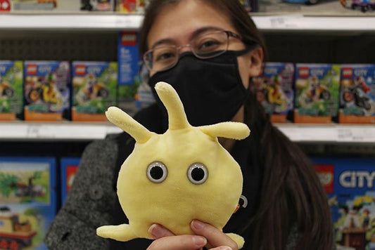 Platelet (Thrombocyte)