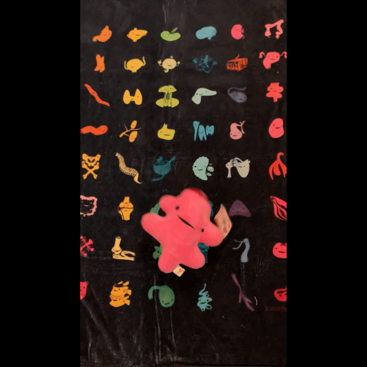 Rectum Plush - Bringing Up the Rear