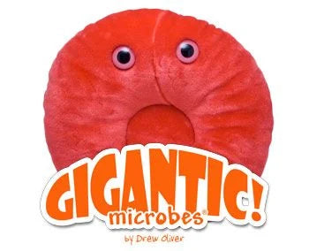 Gigantic Red Blood Cell