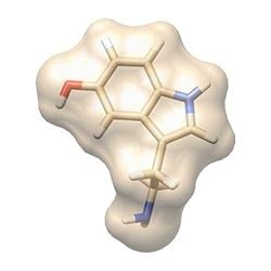 Serotonin Key Chain