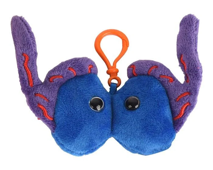 Testicles Keychain