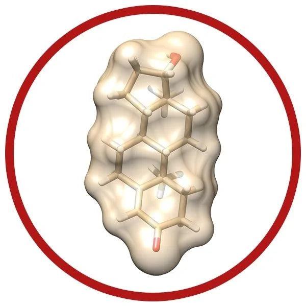 Testosterone