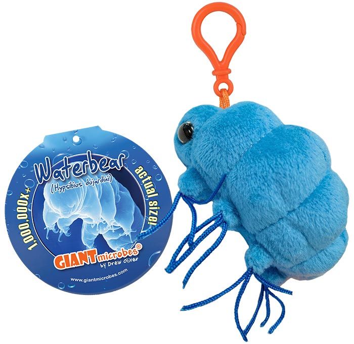 Waterbear Key Chain