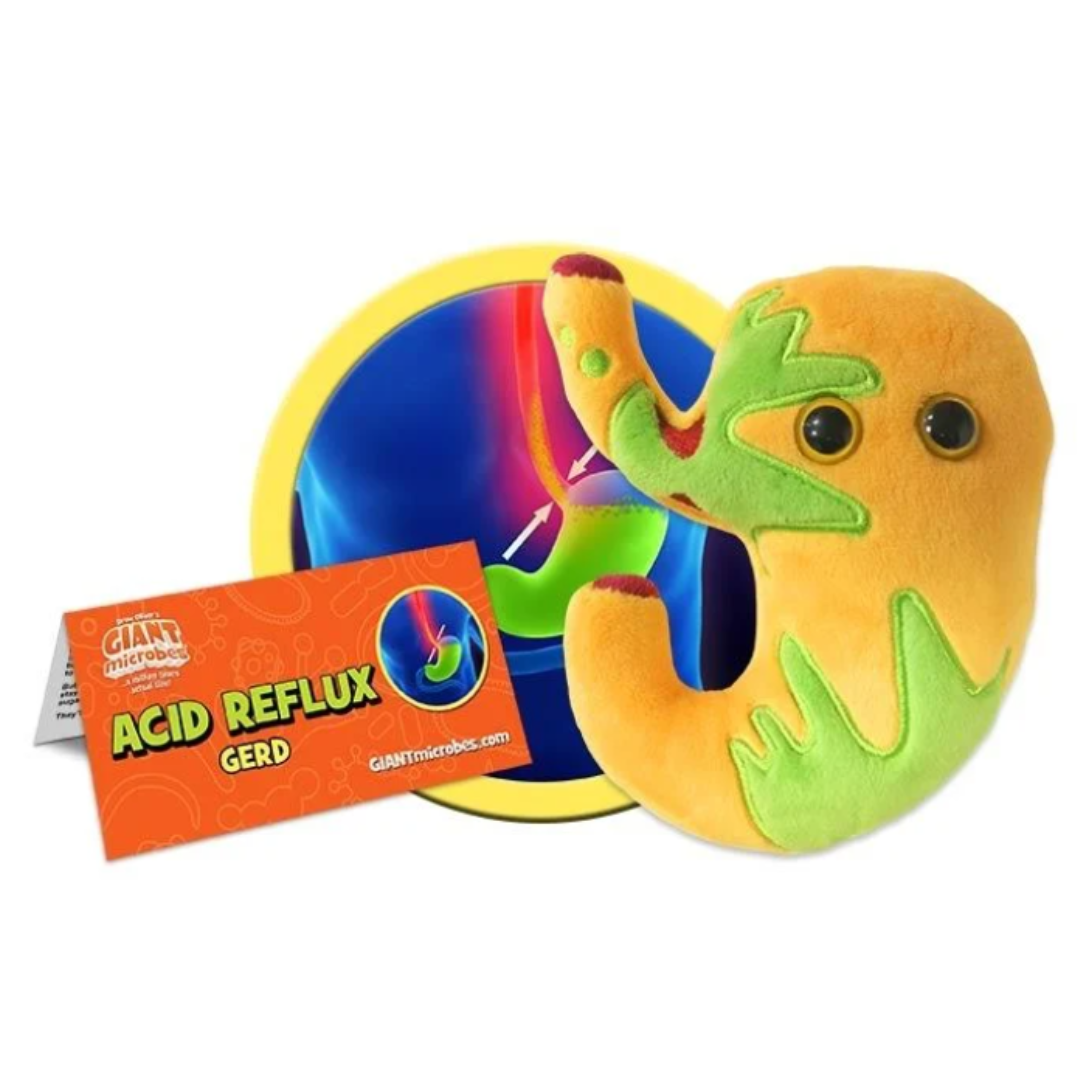 Acid Reflux