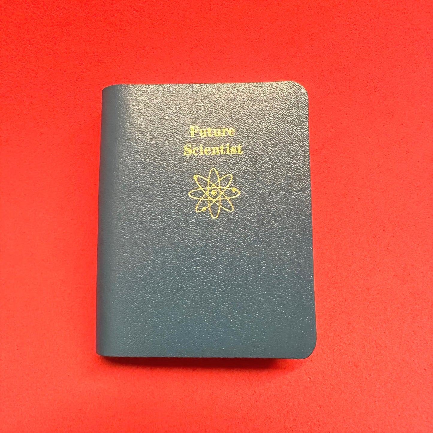 Future Mini Books
