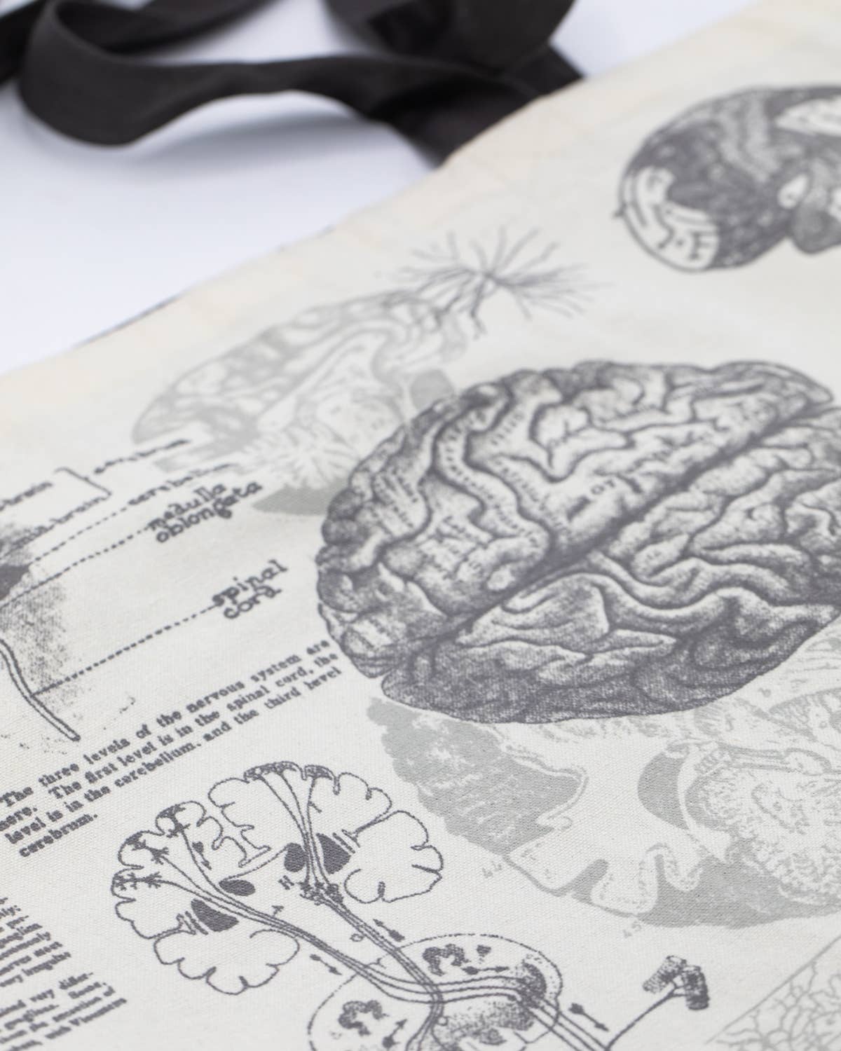 Brain Anatomy Canvas Shoulder Tote Bag