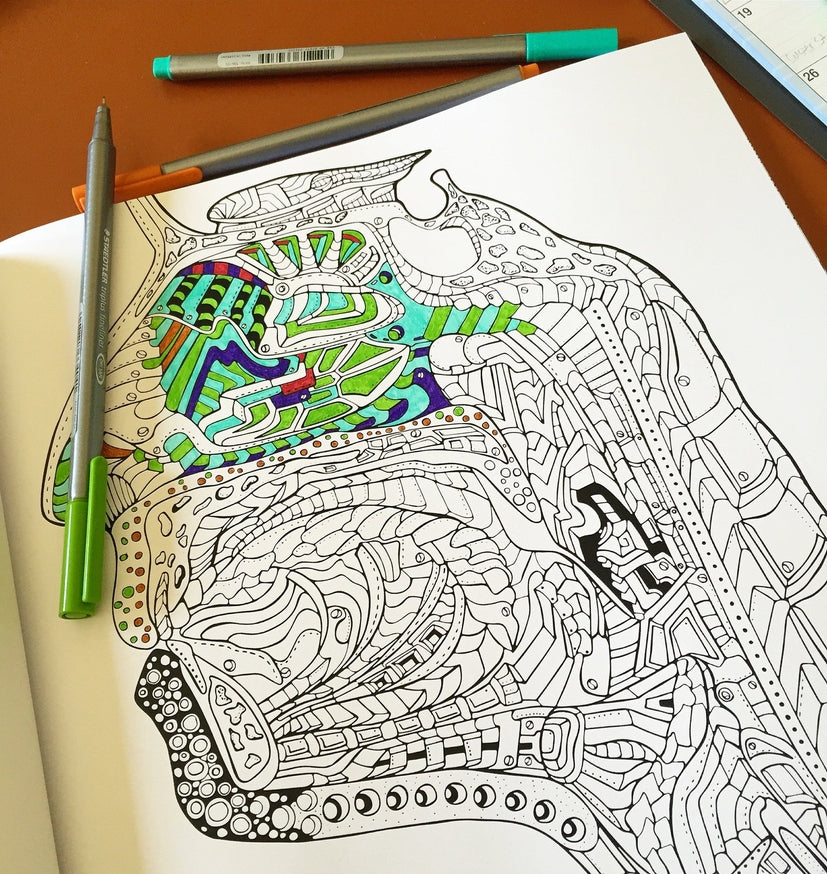 Show Me Your Guts! An Artistic & Anatomical Coloring Book for Adults