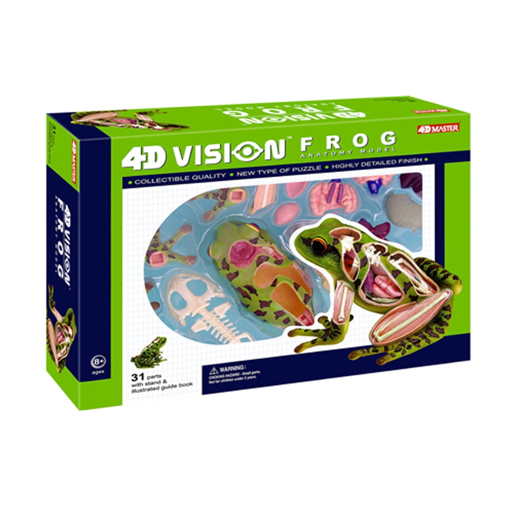4D Frog Anatomy Model