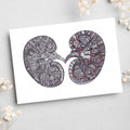 Kidney - Simple Anatomy (#8012)